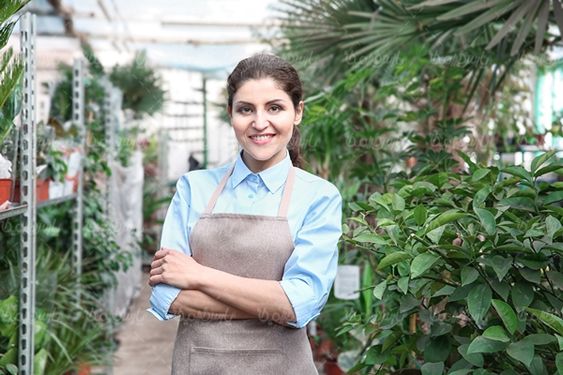 گلفروشی