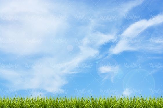 آسمان آبی چمنزار