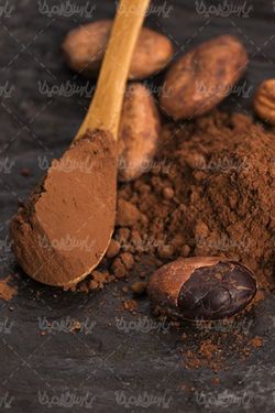 پودر کاکائو