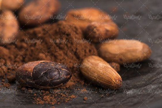 پودر کاکائو