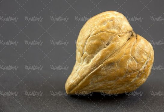 قلب