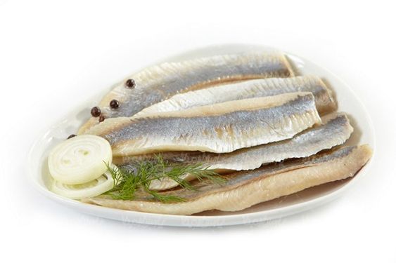 پروتئینی