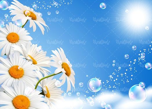 Flower background