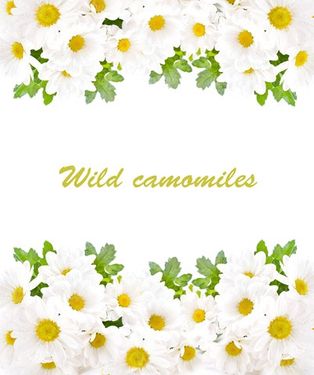 Flower background