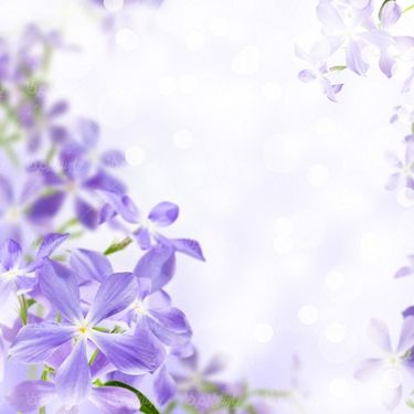 Flower background