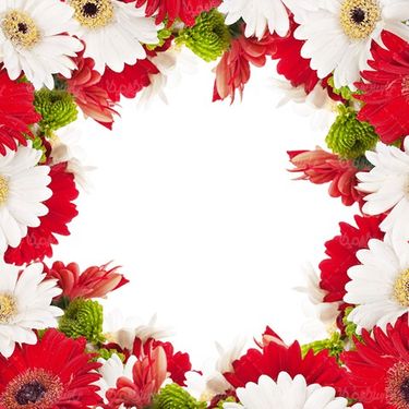 پس زمینه گل