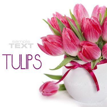 گلفروشی