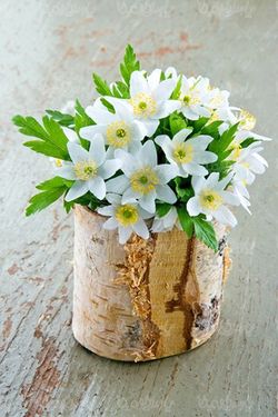 دسته گل