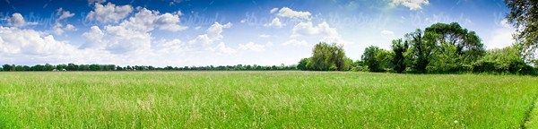 چشم انداز بهار