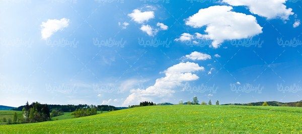 چشم انداز بهار
