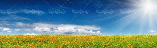 چشم انداز بهار