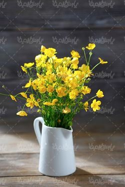 natural flower