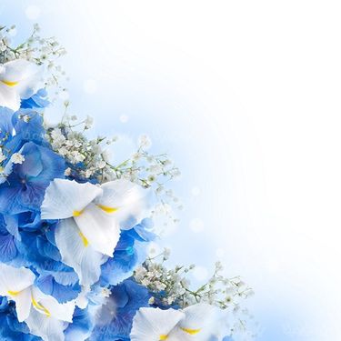 flower background