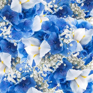 flower background