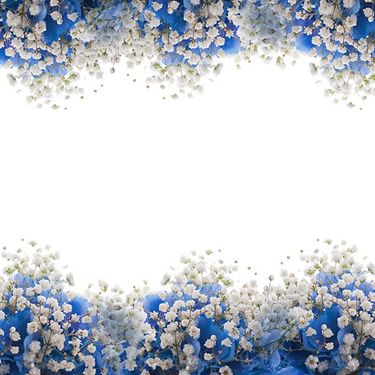 flower background