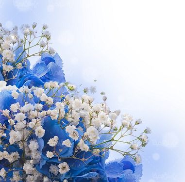 flower background
