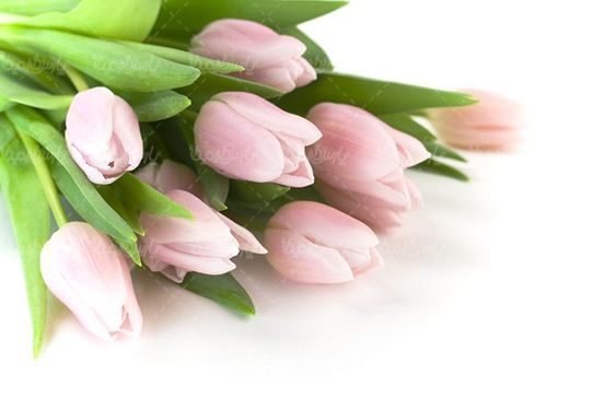 دسته گل