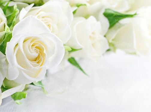 دسته گل