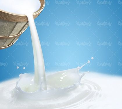 شره کردن شیر