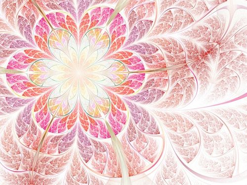 flower background