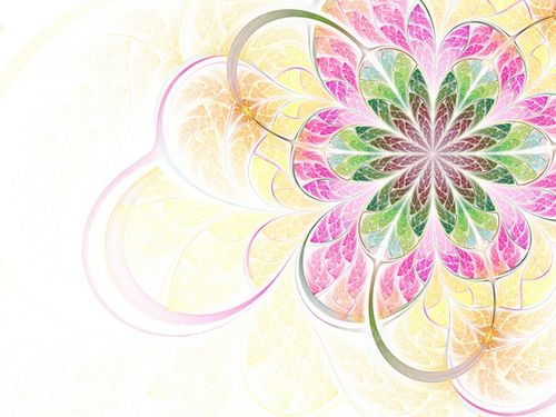 flower background