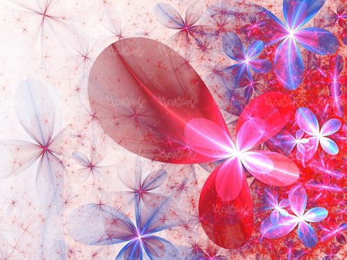 flower background