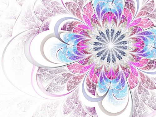 flower background