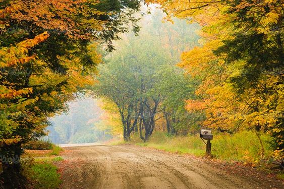 autumn