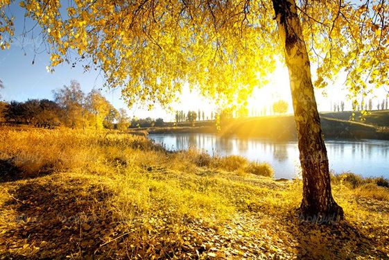autumn