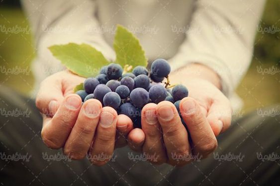 انگور قرمز