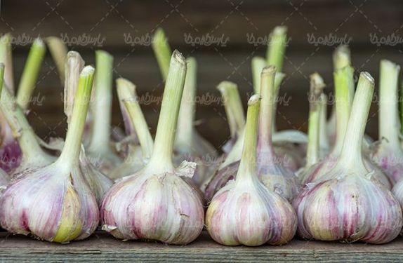 میوه فروشی