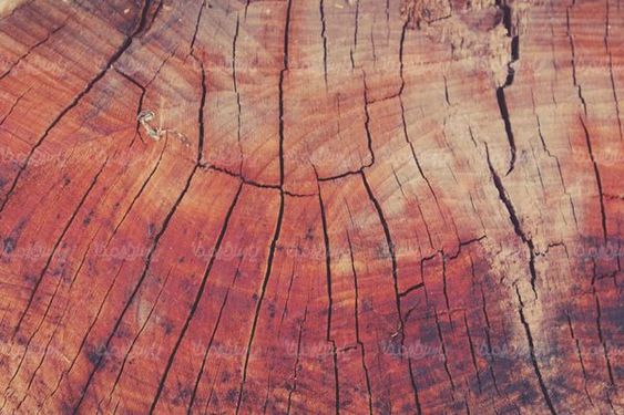 Wooden background