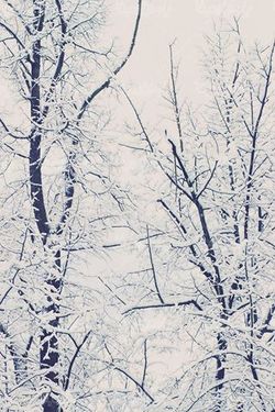 winter