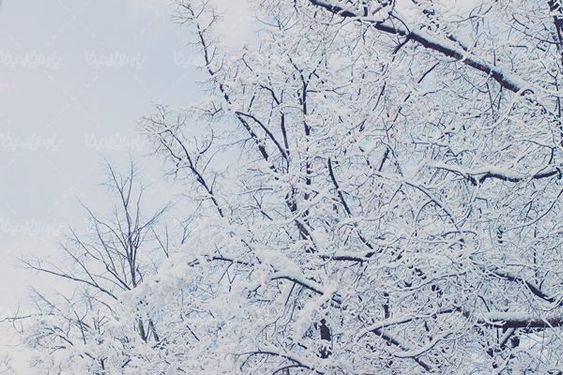 winter