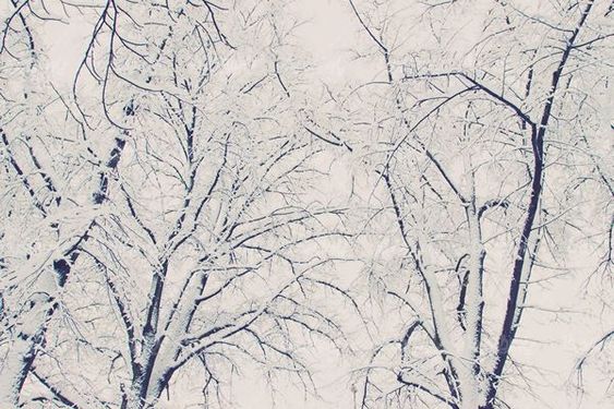 winter