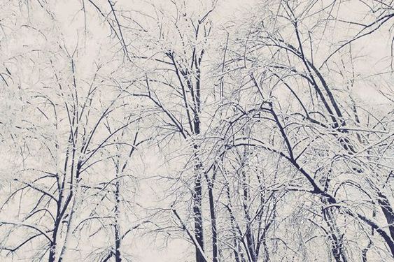 winter