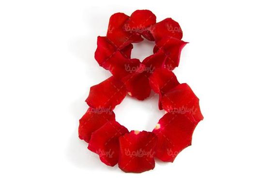 عدد هشت لاتین