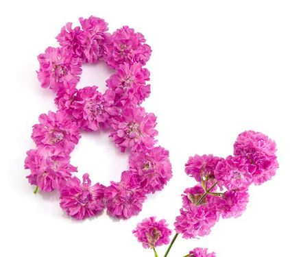 عدد هشت لاتین
