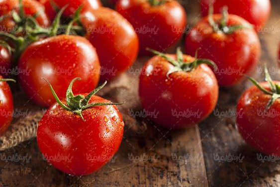 گوجه فرنگی
