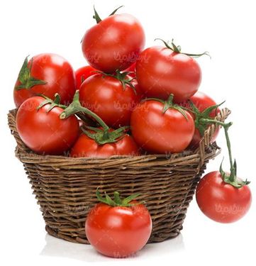 گوجه فرنگی