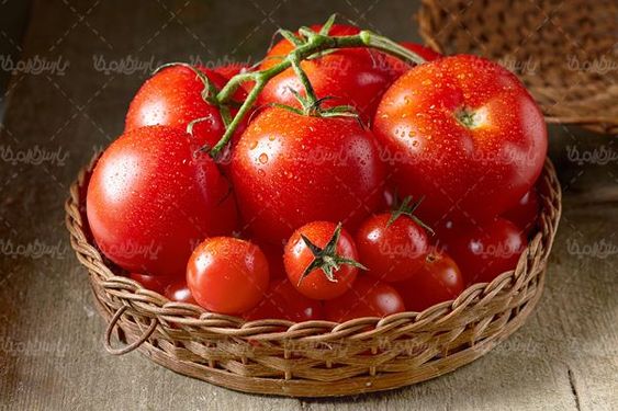 گوجه فرنگی