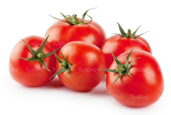 گوجه فرنگی