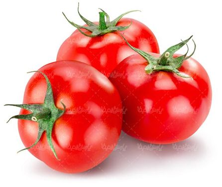 گوجه فرنگی