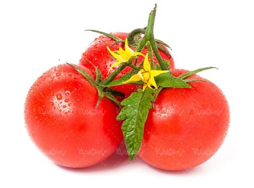 tomato