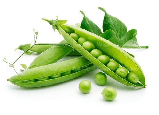 Fruit