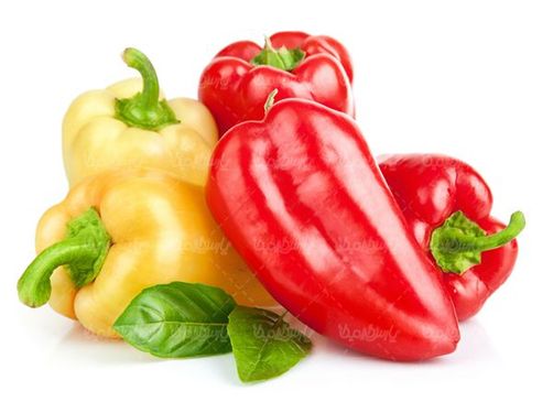 سوپر میوه