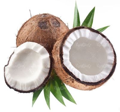 نارگیل