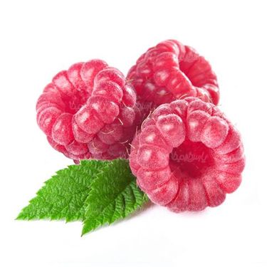 تمشک