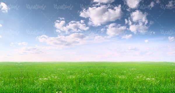 spring season