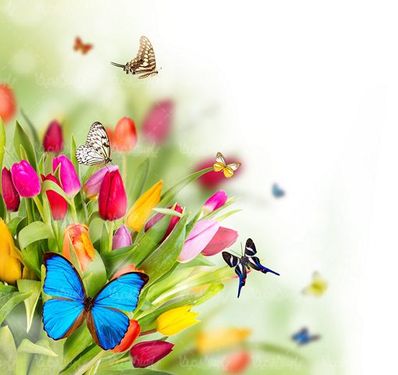 گل طبیعی